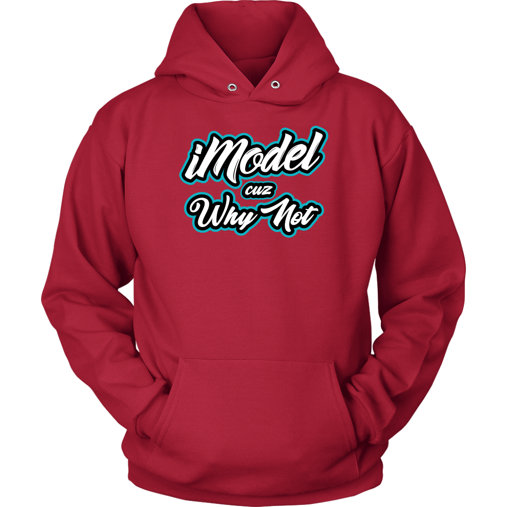 Chicago Pullover Hoodie